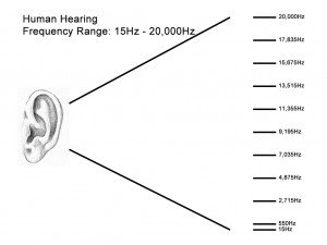 meier_audio_hearing.jpg